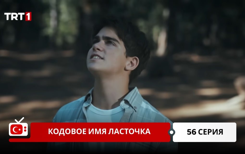 Кодовое имя Ласточка 56 серия